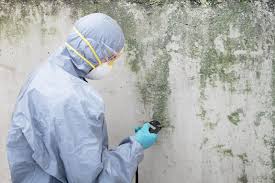 Best Air Quality Testing for Mold Spores in Oak Park, CA